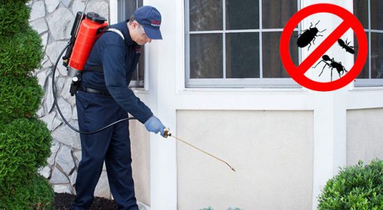Lapseki Akrep İlaçlama böcek ilaçlama ve haşere kontrolü — ilaclama-tr.com